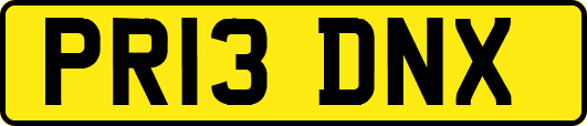 PR13DNX