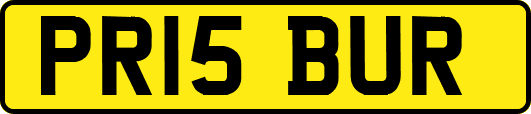 PR15BUR