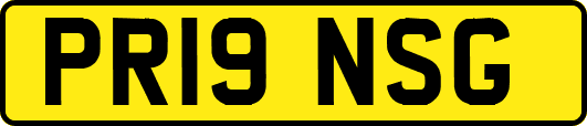 PR19NSG