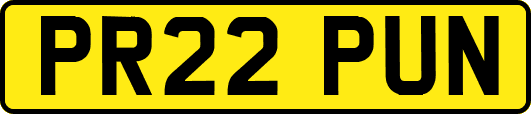PR22PUN
