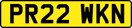 PR22WKN