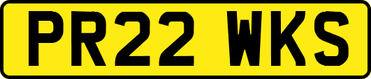 PR22WKS