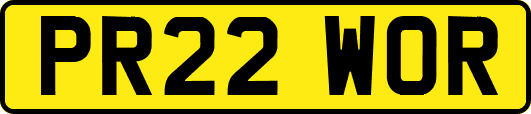 PR22WOR