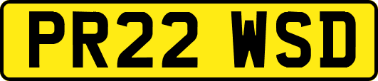 PR22WSD