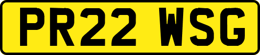 PR22WSG