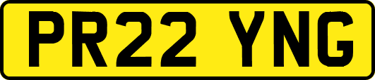 PR22YNG