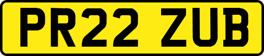 PR22ZUB
