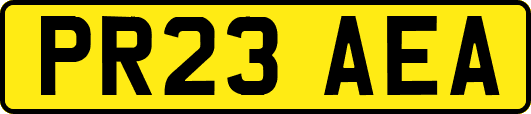 PR23AEA