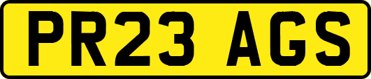 PR23AGS