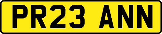 PR23ANN