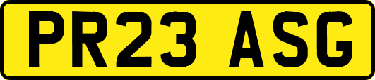 PR23ASG