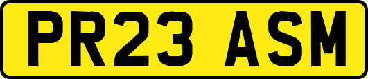 PR23ASM