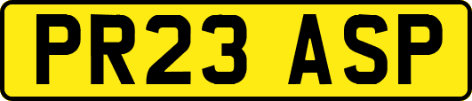 PR23ASP