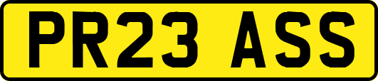 PR23ASS