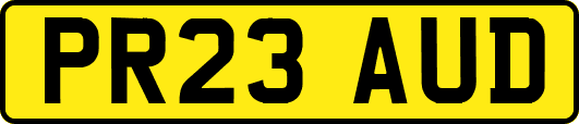 PR23AUD