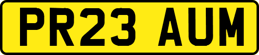 PR23AUM