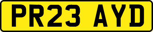 PR23AYD