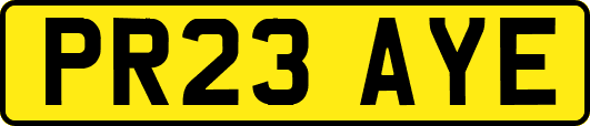 PR23AYE