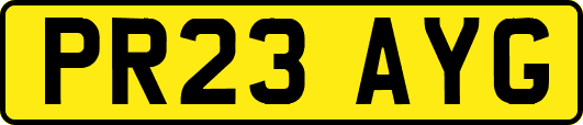 PR23AYG