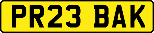 PR23BAK