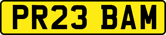 PR23BAM