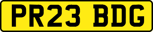 PR23BDG