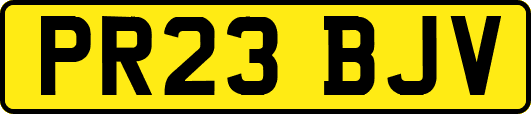 PR23BJV