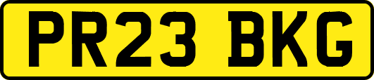 PR23BKG
