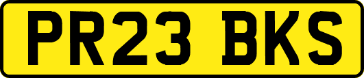 PR23BKS