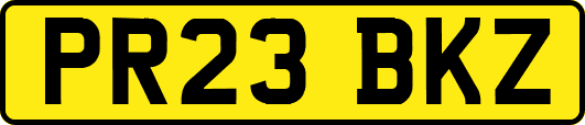 PR23BKZ