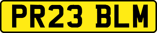 PR23BLM