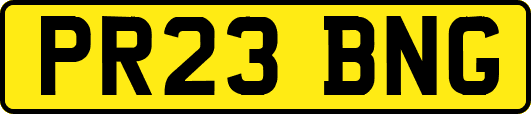 PR23BNG