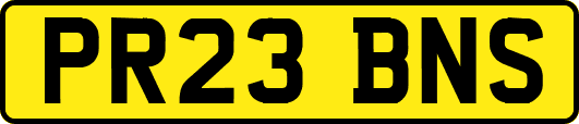 PR23BNS
