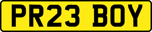 PR23BOY