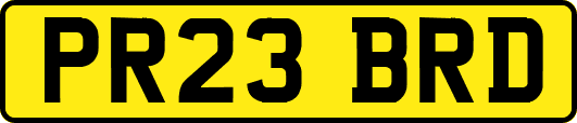 PR23BRD