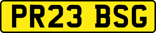 PR23BSG
