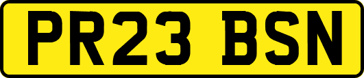 PR23BSN