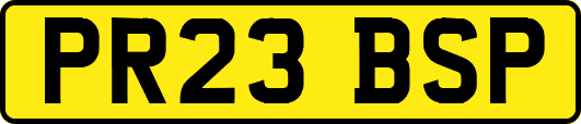 PR23BSP