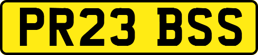 PR23BSS