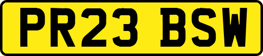 PR23BSW