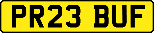 PR23BUF