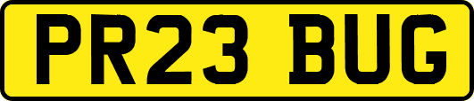 PR23BUG