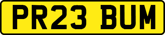 PR23BUM