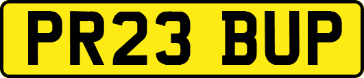 PR23BUP