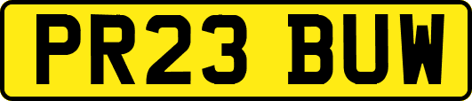 PR23BUW