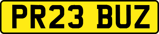 PR23BUZ