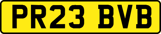 PR23BVB