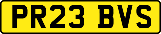 PR23BVS