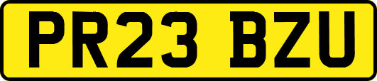 PR23BZU