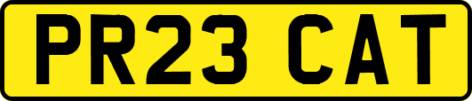 PR23CAT